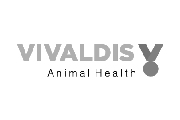 Vivaldis logo