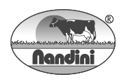 Nandini logo